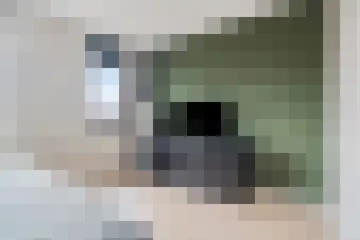 Kaarboom 21 Nunspeet thumbnail 21