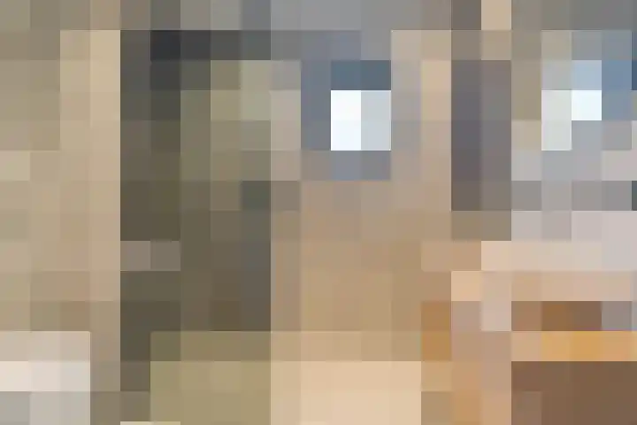 Kaarboom 21 Nunspeet thumbnail 22