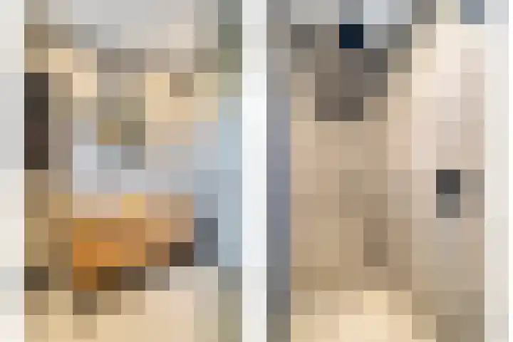 Kaarboom 21 Nunspeet thumbnail 23