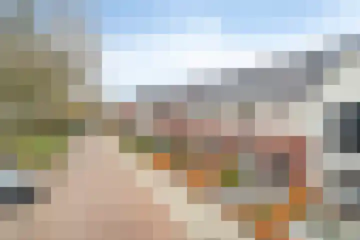 Kaarboom 21 Nunspeet thumbnail 33