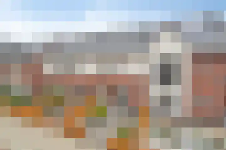 Kaarboom 21 Nunspeet thumbnail 6