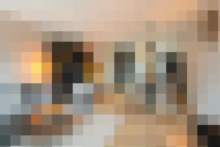 Kaarboom 21 Nunspeet thumbnail 8