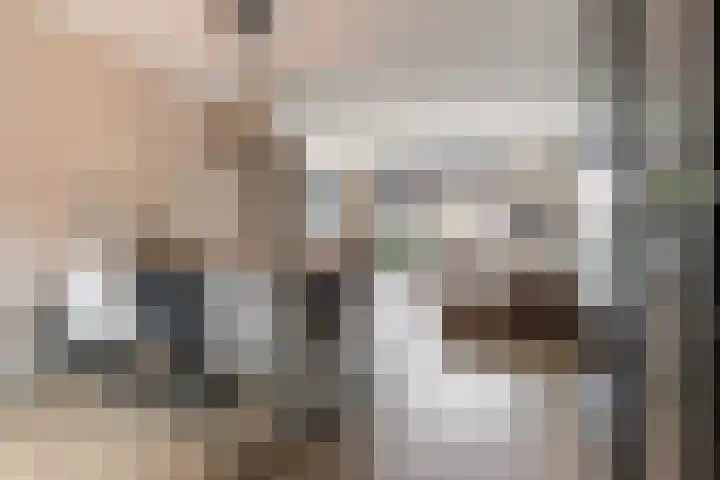 Kaarboom 7 Nunspeet thumbnail 11