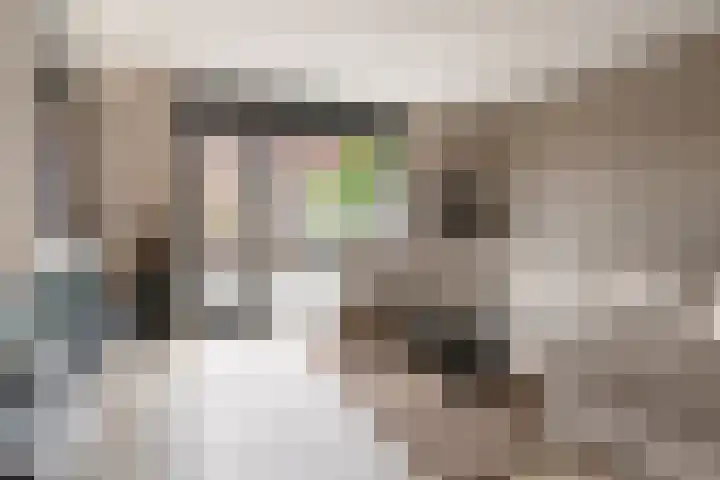 Kaarboom 7 Nunspeet thumbnail 13