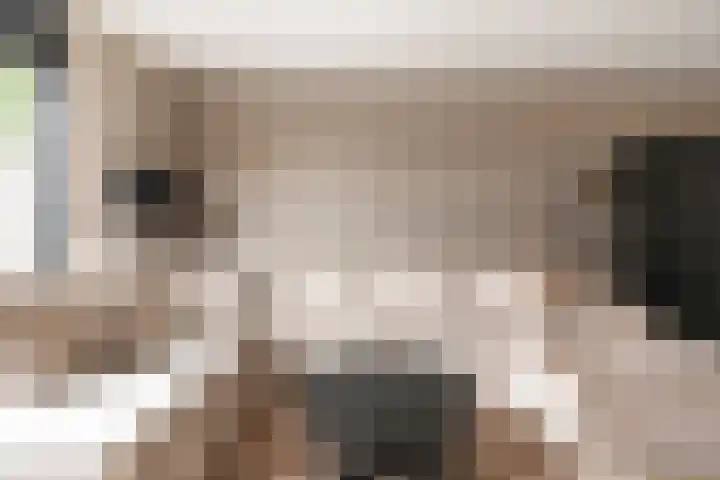 Kaarboom 7 Nunspeet thumbnail 14