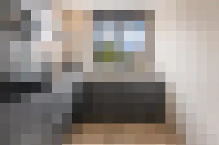 Kaarboom 7 Nunspeet thumbnail 20