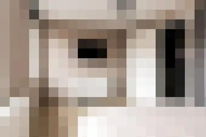 Kaarboom 7 Nunspeet thumbnail 30
