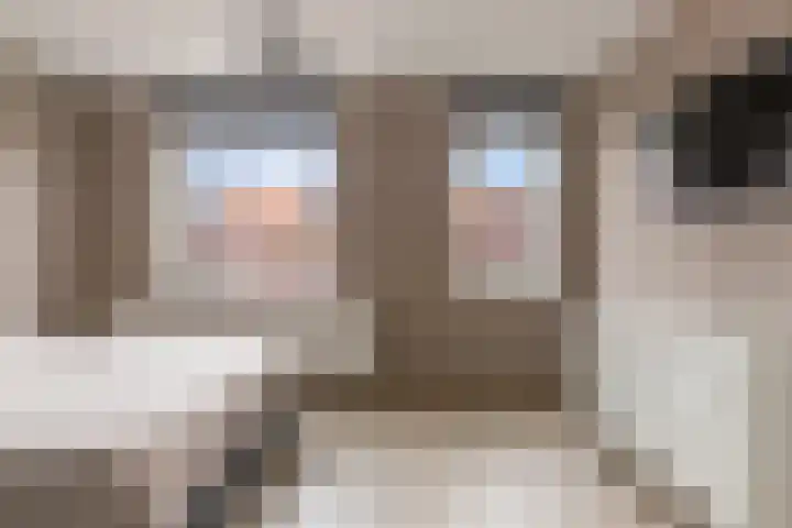 Kaarboom 7 Nunspeet thumbnail 31