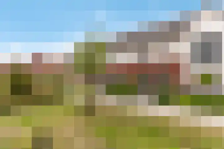 Kaarboom 7 Nunspeet thumbnail 4