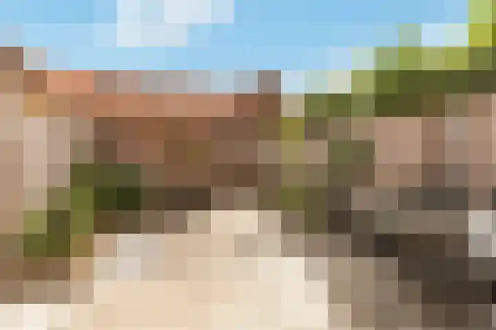 Kaarboom 7 Nunspeet thumbnail 45