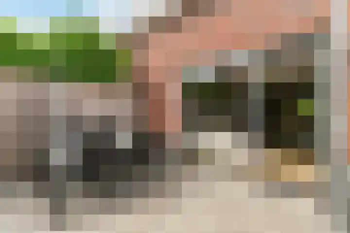 Kaarboom 7 Nunspeet thumbnail 49
