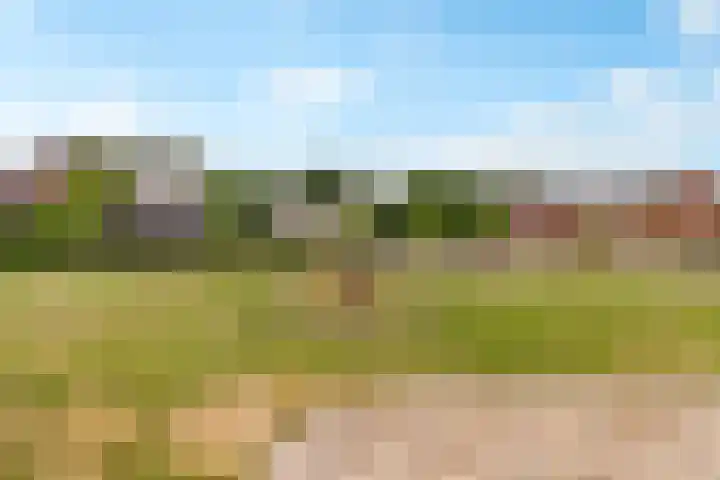 Kaarboom 7 Nunspeet thumbnail 53