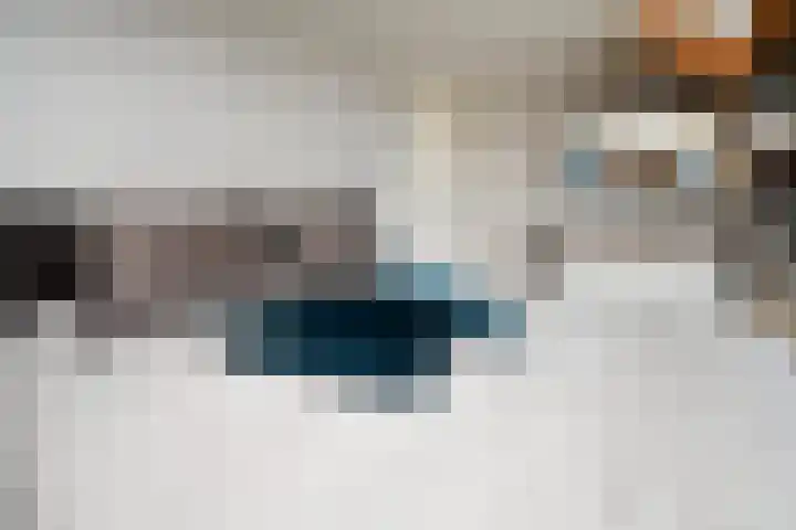 Kaard 3 1 Kaard thumbnail 20