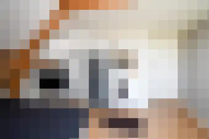 Kaard 3 1 Kaard thumbnail 29