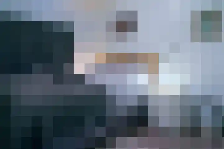 Kaard 3 1 Kaard thumbnail 53
