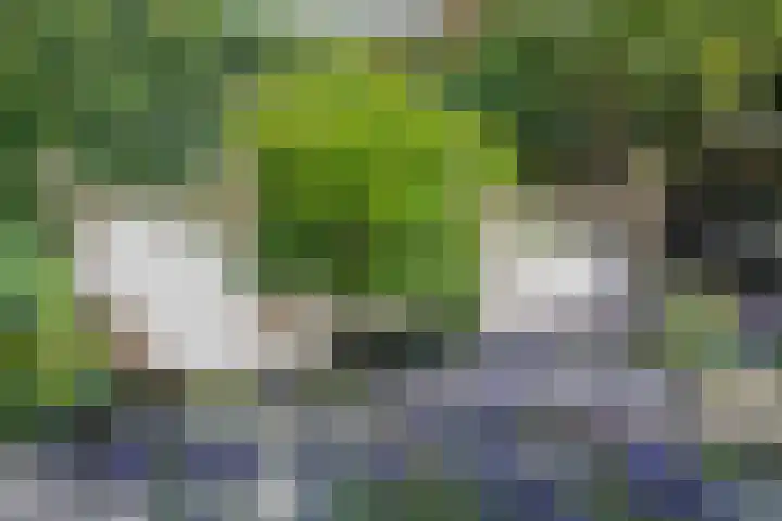 Kaardebol 10 Tiel thumbnail 38
