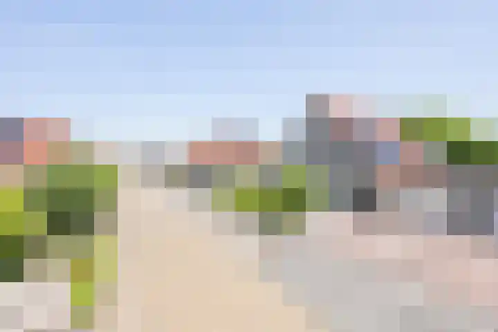Kaardebol 10 Tiel thumbnail 4