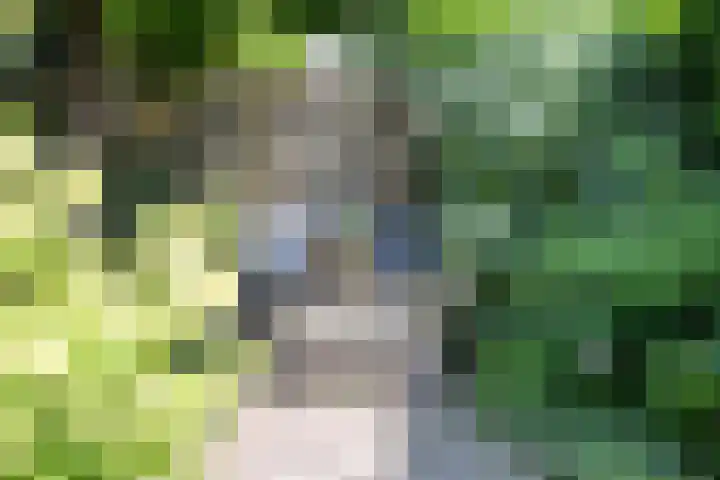 Kaardebol 10 Tiel thumbnail 43