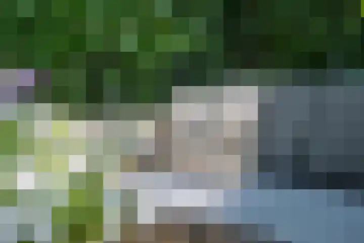 Kaardebol 10 Tiel thumbnail 44