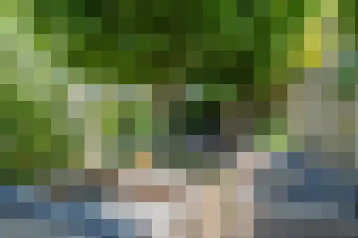 Kaardebol 10 Tiel thumbnail 45