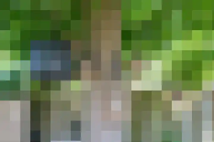 Kaardebol 10 Tiel thumbnail 46