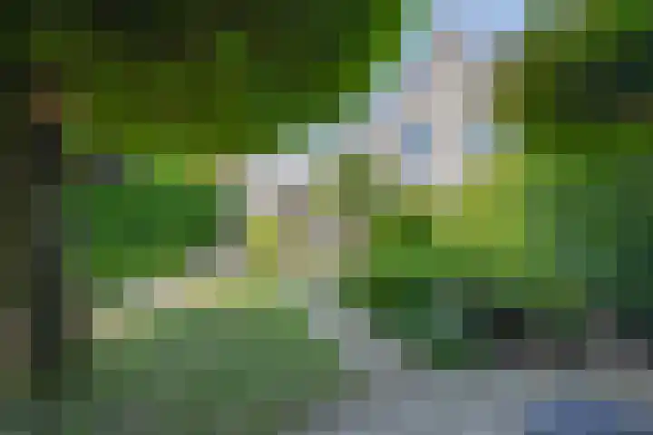 Kaardebol 10 Tiel thumbnail 47