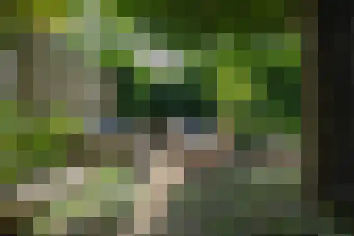 Kaardebol 10 Tiel thumbnail 48