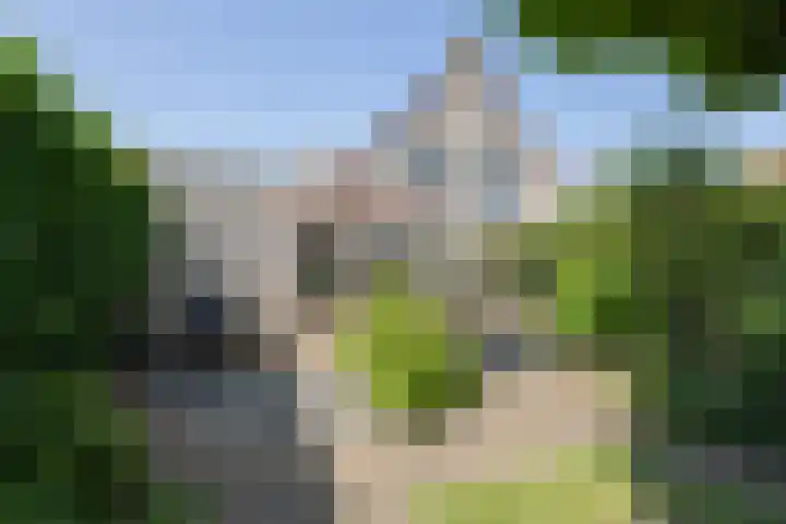 Kaardebol 10 Tiel thumbnail 49