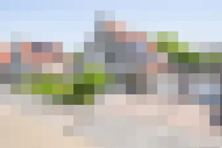 Kaardebol 10 Tiel thumbnail 5