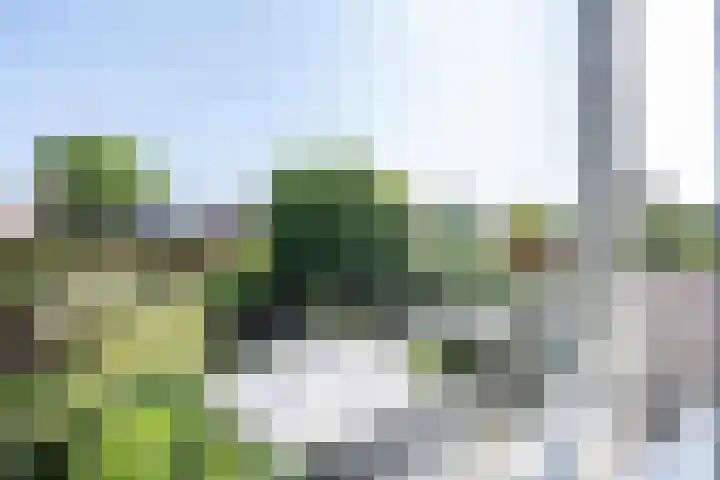 Kaardebol 10 Tiel thumbnail 68