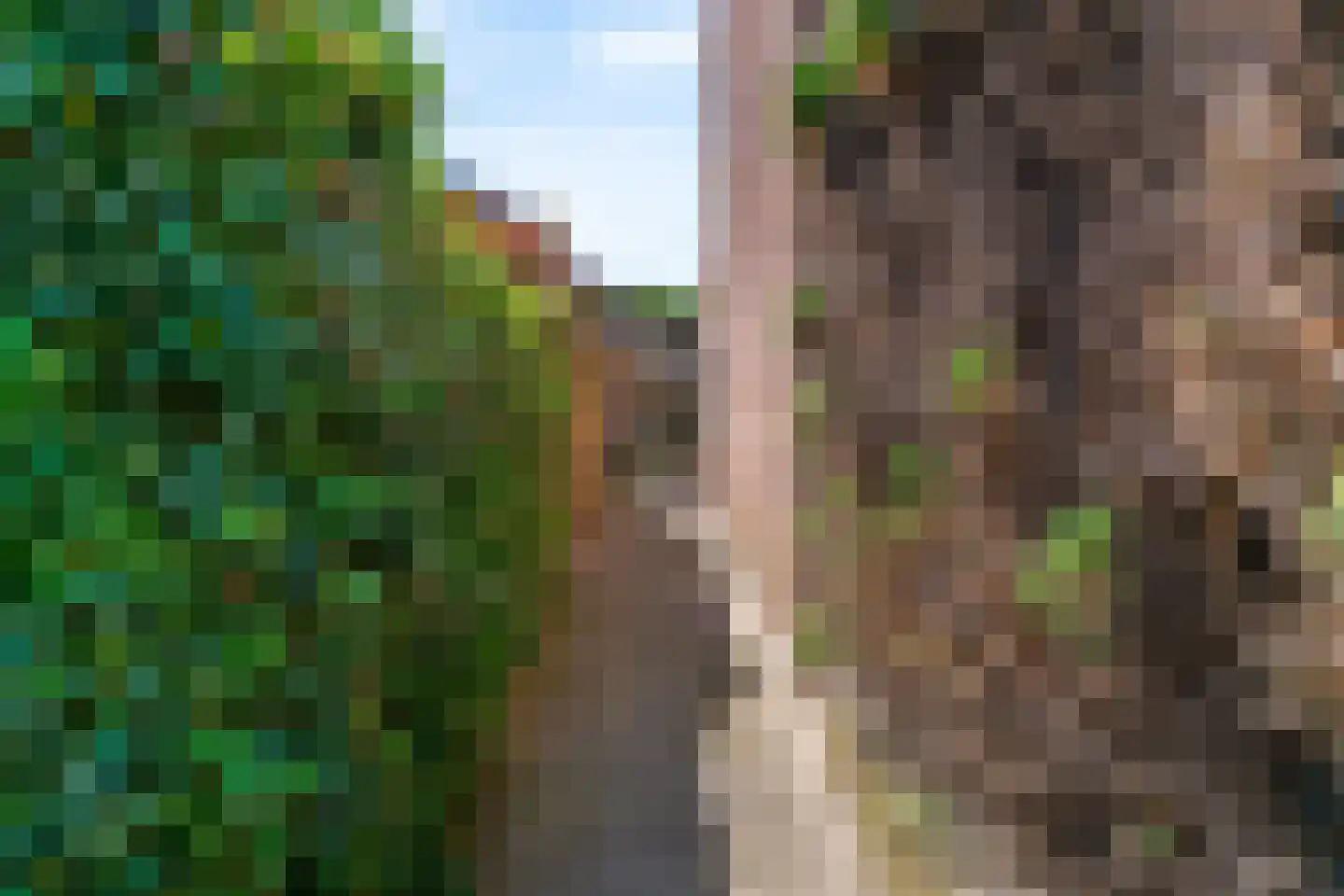 Kaardebol 13 De Meern thumbnail 31