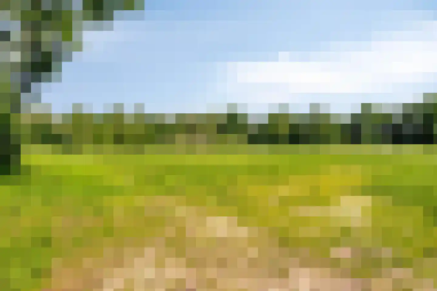 Kaardebol 14 Sprang-Capelle thumbnail 42
