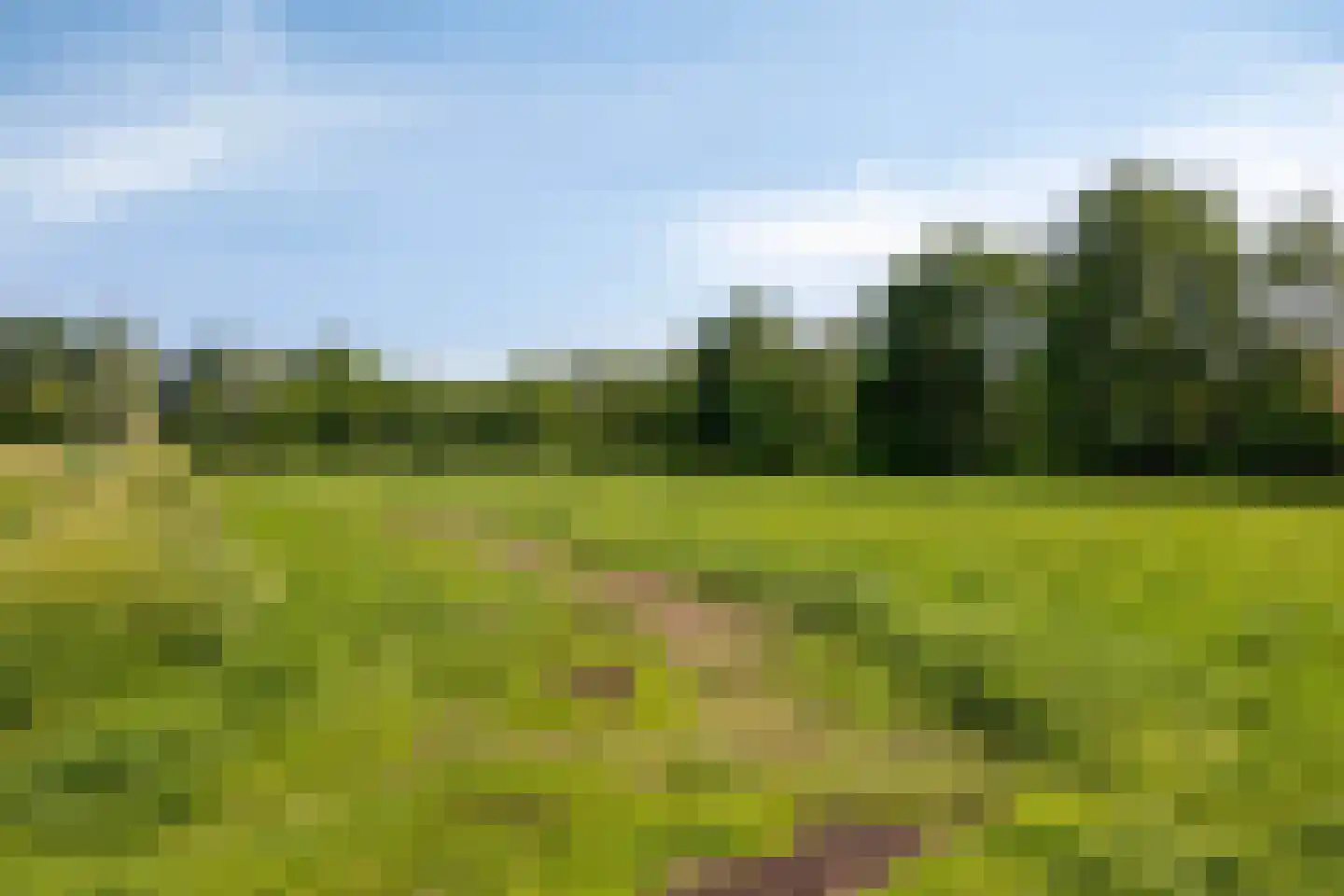 Kaardebol 14 Sprang-Capelle thumbnail 43