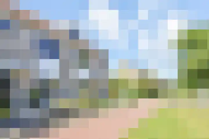 Kaardebol 2 Nootdorp thumbnail 5