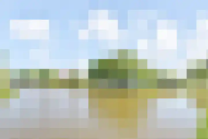 Kaardebol 2 Nootdorp thumbnail 6