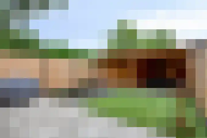 Kaardebol 2 Sprang-Capelle thumbnail 4