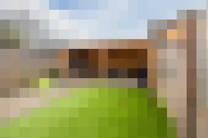 Kaardebol 26 Sprang-Capelle thumbnail 4
