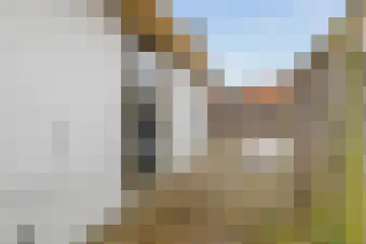 Kaardebol 70 Sprang-Capelle thumbnail 18