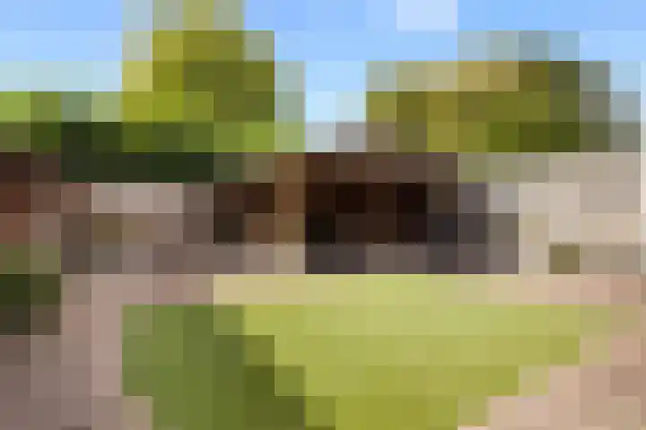 Kaardebol 70 Sprang-Capelle thumbnail 20