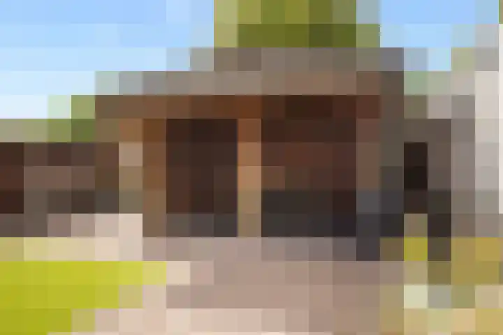 Kaardebol 70 Sprang-Capelle thumbnail 21