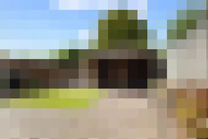 Kaardebol 70 Sprang-Capelle thumbnail 6