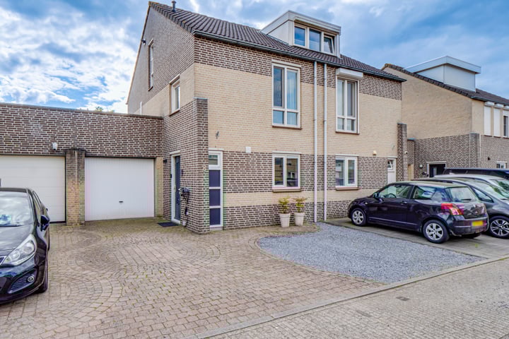 Kaardebol 8 in Venray Foto