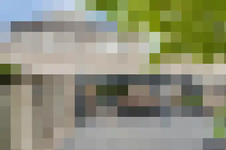 Kaardebol 8 Venray thumbnail 40