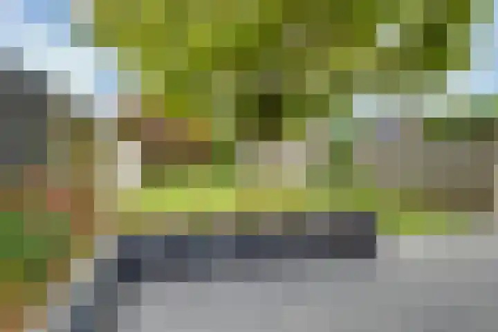 Kaardebol 8 Venray thumbnail 42
