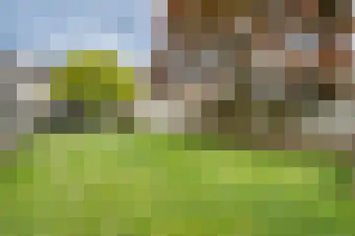 Kaardebol 8 Venray thumbnail 43