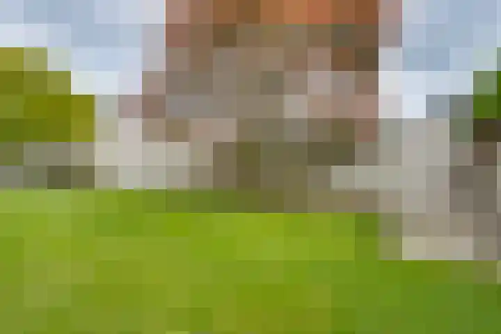 Kaardebol 8 Venray thumbnail 44