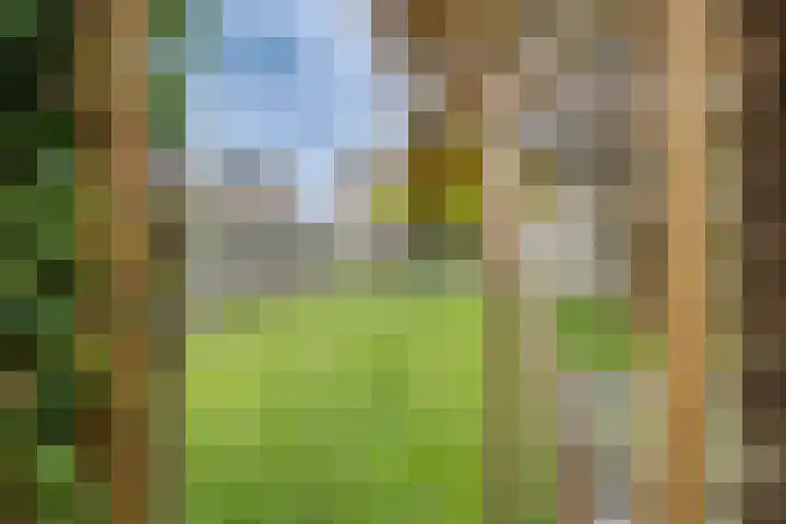 Kaardebol 8 Venray thumbnail 45