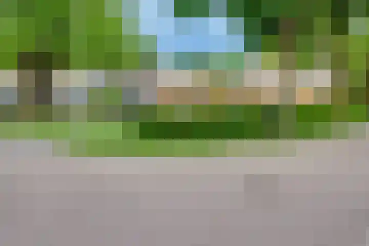 Kaardebol 8 Venray thumbnail 52