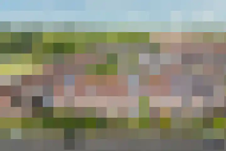 Kaardebol 9 De Meern thumbnail 35