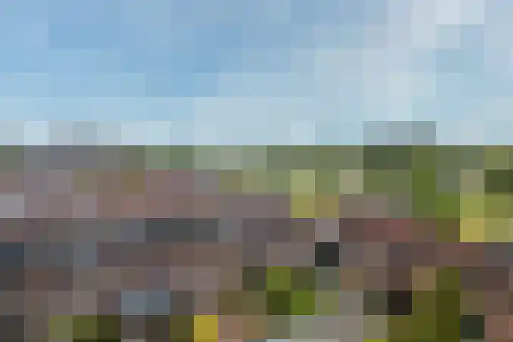 Kaardebol 9 De Meern thumbnail 37